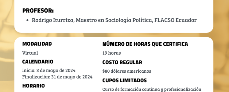 CAPTURA ELITISTA DE LA ESTRUCTURA Y DECISIÓN ESTATAL CON FOCO EN LA POLÍTICA PÚBLICA